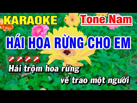 Hái Hoa Rừng Cho Em Karaoke Nhạc Sống Tone Nam Beat Rất Hay | Hoài Phong Organ