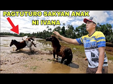 Nagwala ang bagong kabayo...Traditional na  Pagtuturo paano  sakyan ang kabayo anak ni ivana