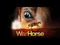 Emily's Journey and the Horses' Struggles