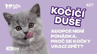 Hrabáková: Sbírám kočky jako Pokémony a někdy je to těžký | Kočičí duše #27