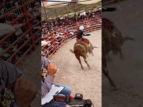 Qué buena monta de Tecatito de Hidalgo vs toro el Barrabás 👏🤠 #jaripeo #extremo