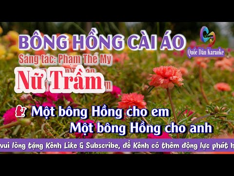 Karaoke Bông Hồng Cài Áo | Bossa Nova | Tone Nữ Trầm (Bm,Tp:110) | Quốc Dân Karaoke