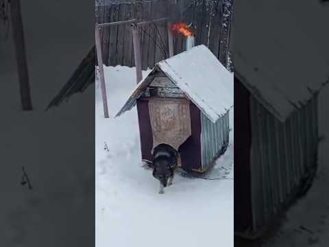 Печь в собачьей будке