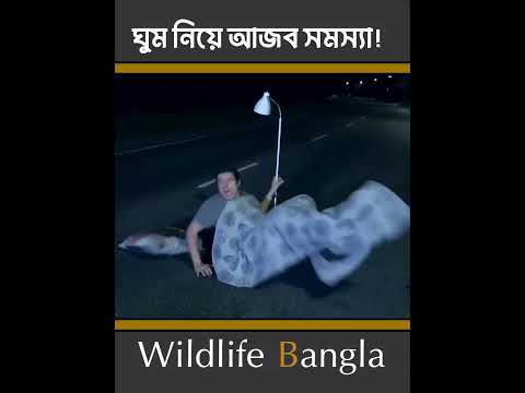 ঘুমরে মধ্যে হাটার রোগ #wildlife bangla