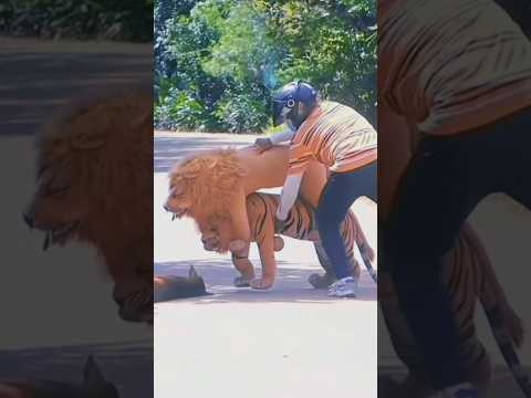 Dog prank funny videos 😂🐯 #sortvideo #doglover
