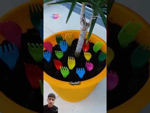 اختراعات بسيطه يمكن عملها ف المنزل ج12 | مىاتي طلبت الطلاق بسبب مرضها 💔 #shortvideo #قصص #shorts