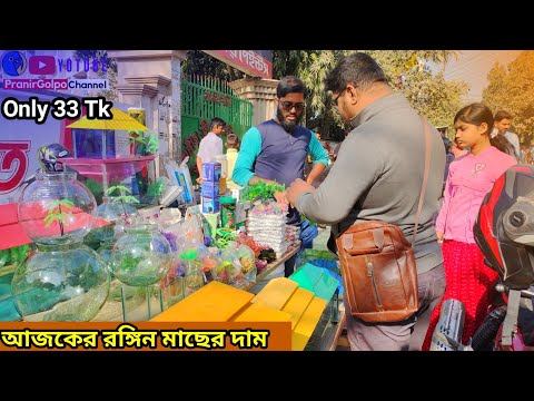 Aquarium price in Bangladesh 2025 🐠 aquarium fish price in Bangladesh/low price aquarium