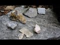Exploring Rocks and the Rock Cycle