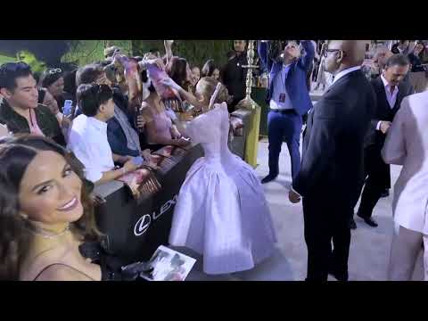 Wicked: Ariana Grande with Fans at LA premiere| ScreenSlam