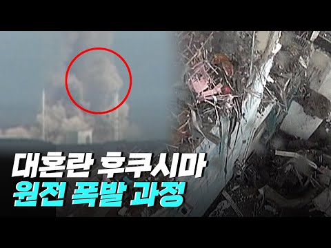 [핫클립] 후쿠시마 원자력 발전소가 폭발한 과정 / YTN 사이언스
