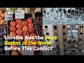 Challenges and Roles in Food Security