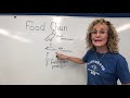 Food Chain Roles and Organisms