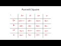 Punnett Square Analysis and Genetics
