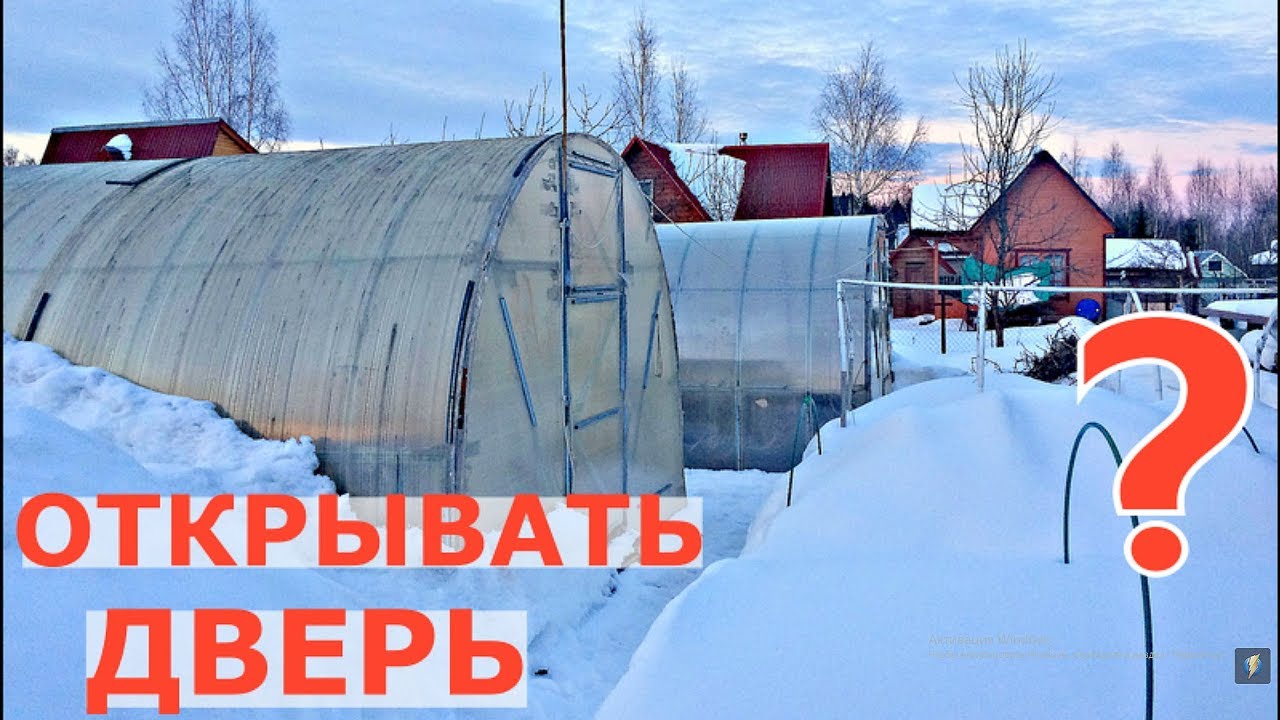 Теплица зимой. Открывать дверь? Забрасывать снег?