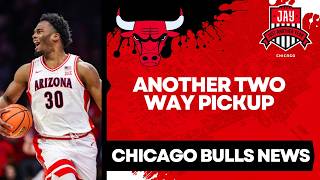 Chicago Bulls Sign Tobe Awaka to Two-Way Deal: Best Rebounder in the Draft Scouting Report
