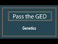 Genetics: Understanding Inheritance Patterns