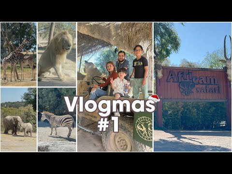 VLOGMAS 1 🎄Acompañanos en esta Aventura✨Ammy Alvarado