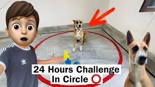 24 Hours In A Circle With Dog 🤩 challenge 