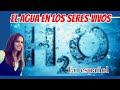 Funciones y Propiedades del Agua