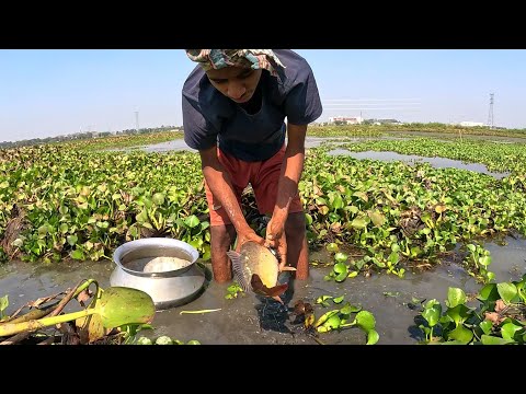 Village Boy Traditional Hand Fishing Video|