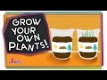Plant Growth Experiment Concepts