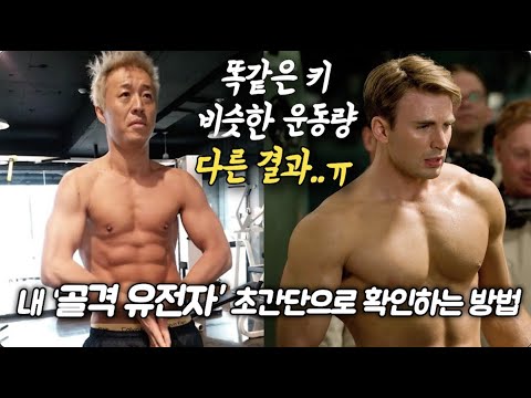 아무리 열심히 운동해도 몸이 못생긴 과학적인 이유 (미친 골격 유전자의 차이..)