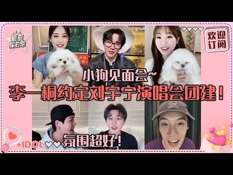 [MultiSub]全员敢说！刘宇宁的演唱会门票预定出去5张？！宁哥被李一桐夸爽了！#刘宇宁 #李一桐 #书卷一梦 #liuyuning #爱豆星日常