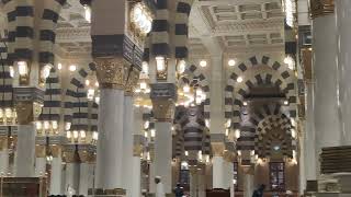 مسجد نبوی کا اندرونی منظر