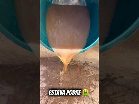 ESTAVA PODRE 🤮 #donadecasa #foryou #limpeza