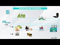 Economic Sectors and Their Functions