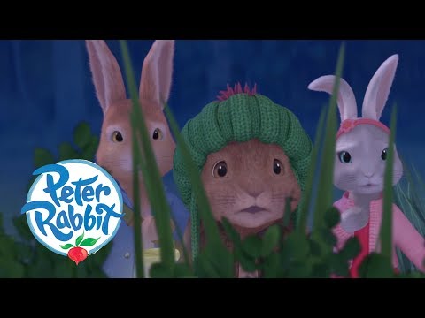 Peter Rabbit - The Dash in the Dark | Cartoons for Kids