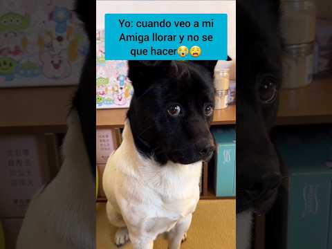 mi Amiga llora! 😭  #humor #shorts #shortsvideo