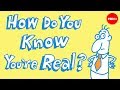 Understanding Descartes' Philosophy