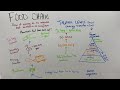 Food Web Dynamics and Ecosystem Roles