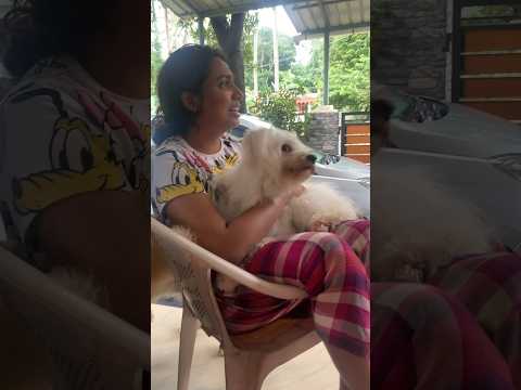 Husband ന്റെ വീട് Hindu-Christian Family #dayinmylife #intercastelovemarriage #foodblogger #hometour
