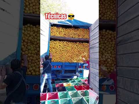 Falló la técnica de descarga 😄 #humor #naranja