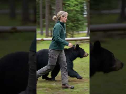 Vet Aids Mother Bear, Defeats Moths, Saves Cub. #rescue #animals #wildanimals