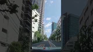 2台の管楽器(F12と812)