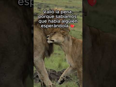 Animales tienen sentimientos ❤️ #animales #naturaleza #rescate