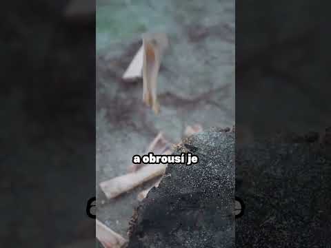 3000 let stará umělecká technika, která vás ohromí 😮