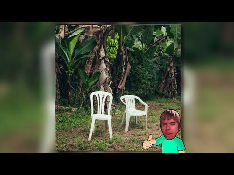 LUV REACCIONA A | BAD BUNNY - DeBÍ TiRAR MáS FOToS (ALBUM COMPLETO)