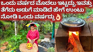 ಒಂದು ವರ್ಷದ ಮೊದಲು ಇಟ್ಟದ್ದು,ಇವತ್ತು ತೆಗೆದು ಅಡುಗೆ ಮಾಡಿದೆ ಹೇಗೆ ಉಂಟು ನೋಡಿ ಒಂದು ವರ್ಷದ್ದು👌|Kannada recipes