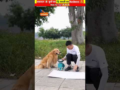 वफ़ादार 🐶 कुत्ते का 🥦 सब्जी का Business 😍😍😍 #shorts #youtubeshorts #viral