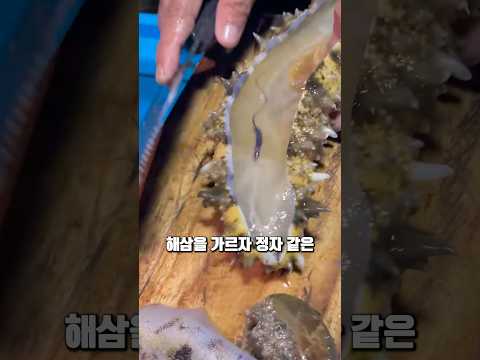 해삼 속에 꼭 있다는 생명체