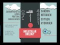 Biochemistry and Molecular Biology Concepts