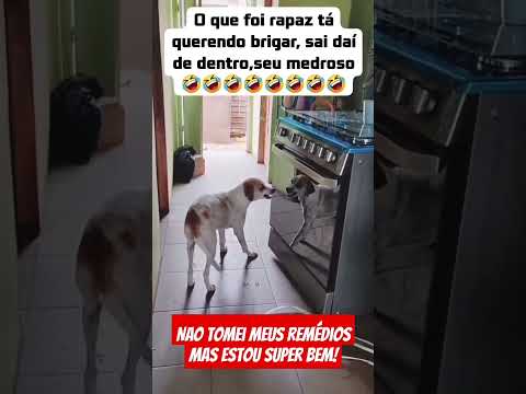 tô bem sim tá 😃