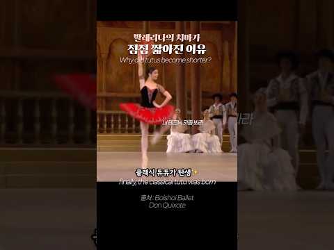 줄이다 줄이다 이렇게까지⁉️ 발레 튜튜의 비밀 🩰