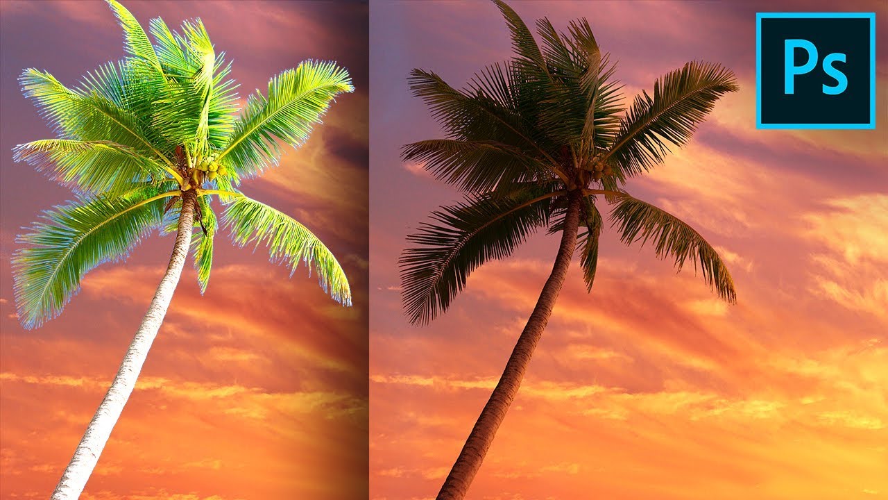Cut Out Trees Without Halos or Fringes in Photoshop!