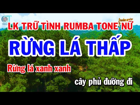 Liên Khúc Rumba Nhạc Vàng Tone Nữ | Rừng Lá Thấp | Đêm Buồn Tỉnh Lẻ