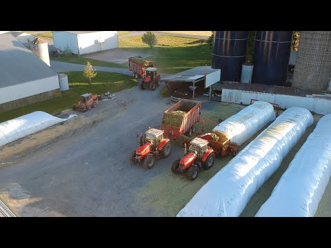 Triticale Harvest | Filling Silo & Ag Bags